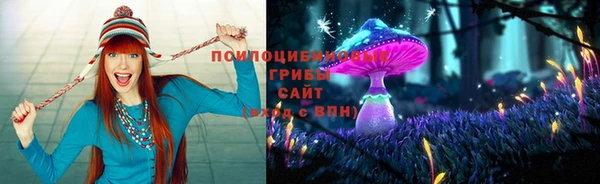 синтетический гашиш Богданович